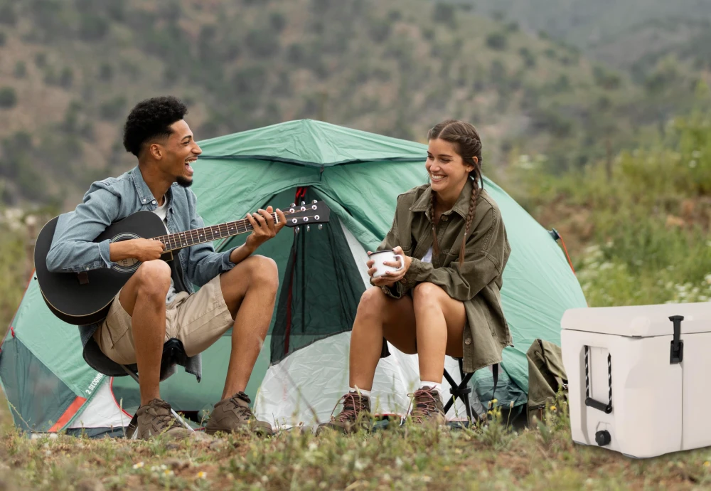 portable cool box fridge