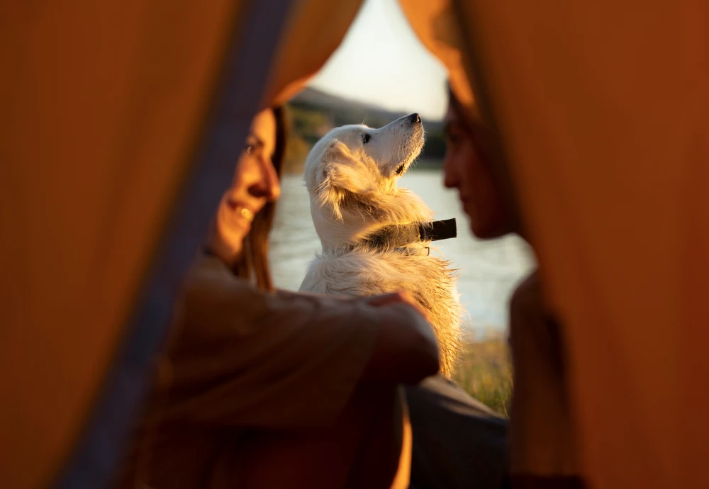 4 person pyramid tent