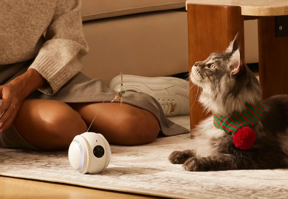 best indoor camera to watch pets