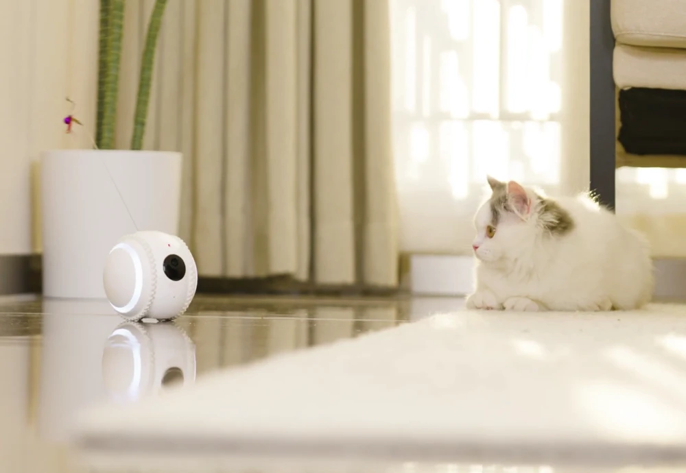 best indoor security camera for pets