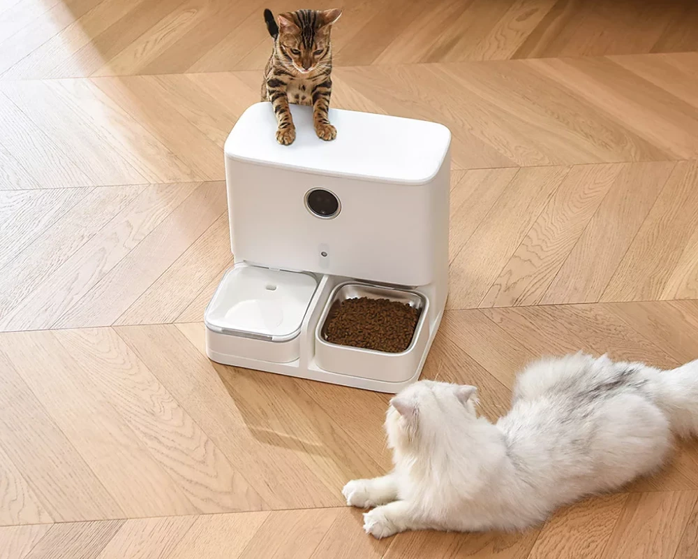 pets automatic pet feeder