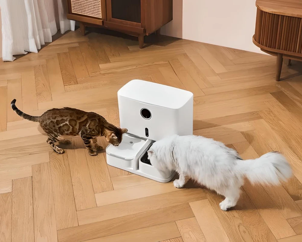 pet food dispensers